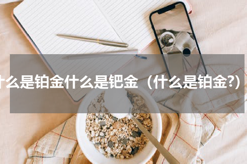 什么是铂金什么是钯金（什么是铂金?）