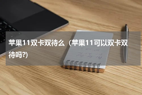 苹果11双卡双待么（苹果11可以双卡双待吗?）