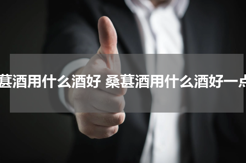 桑葚酒用什么酒好 桑葚酒用什么酒好一点