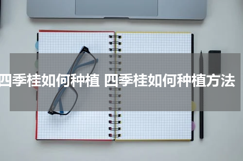 四季桂如何种植 四季桂如何种植方法