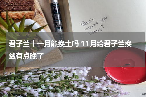君子兰十一月能换土吗 11月给君子兰换盆有点晚了