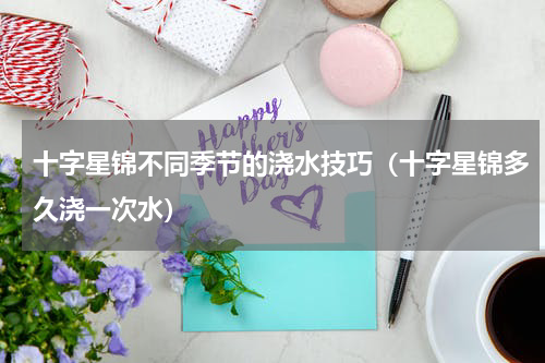 十字星锦不同季节的浇水技巧（十字星锦多久浇一次水）