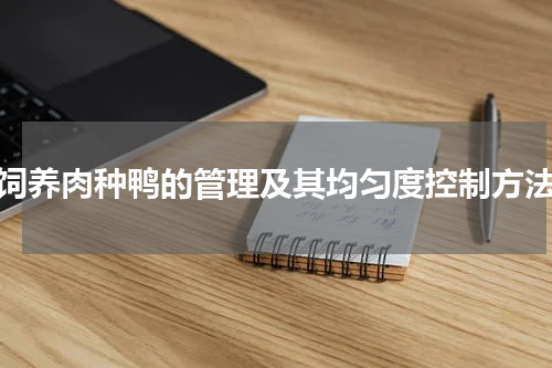 饲养肉种鸭的管理及其均匀度控制方法
