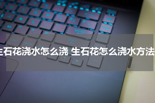 生石花浇水怎么浇 生石花怎么浇水方法