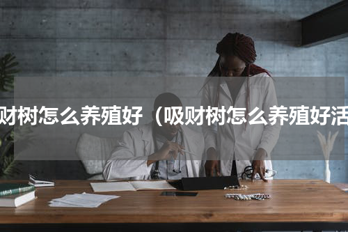 吸财树怎么养殖好（吸财树怎么养殖好活）