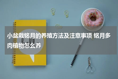 小盆栽铭月的养殖方法及注意事项 铭月多肉植物怎么养