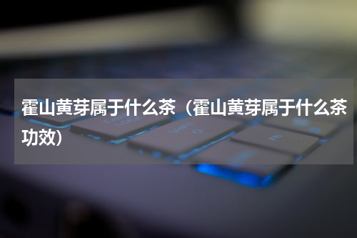 霍山黄芽属于什么茶（霍山黄芽属于什么茶功效）