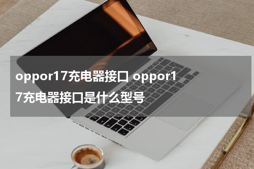 oppor17充电器接口 oppor17充电器接口是什么型号