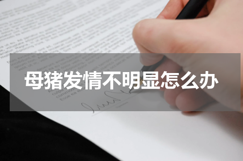 母猪发情不明显怎么办