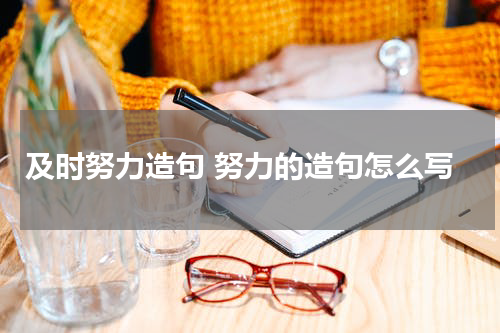 及时努力造句 努力的造句怎么写