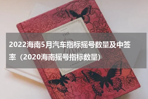 2022海南5月汽车指标摇号数量及中签率（2020海南摇号指标数量）