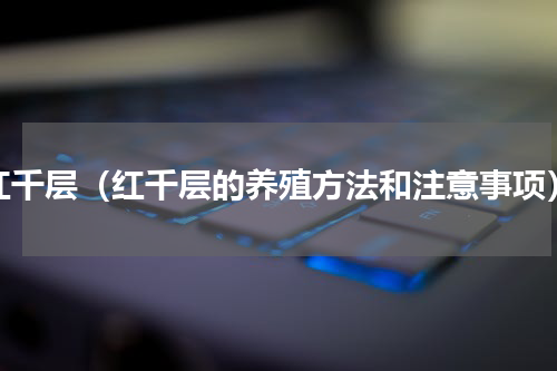 红千层（红千层的养殖方法和注意事项）