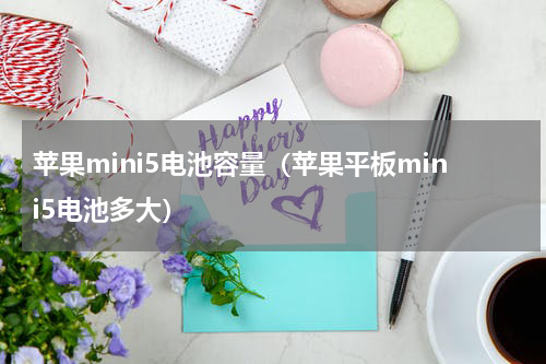 苹果mini5电池容量（苹果平板mini5电池多大）