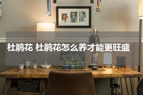 杜鹃花 杜鹃花怎么养才能更旺盛
