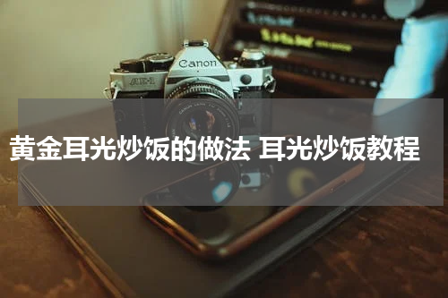 黄金耳光炒饭的做法 耳光炒饭教程