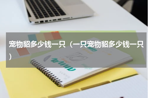 宠物貂多少钱一只（一只宠物貂多少钱一只）