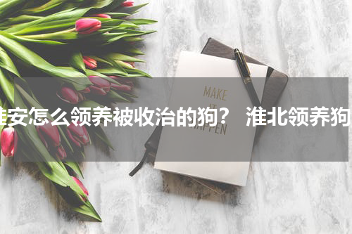 淮安怎么领养被收治的狗？ 淮北领养狗