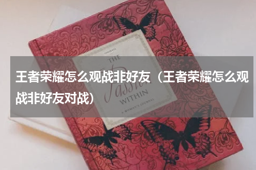 王者荣耀怎么观战非好友（王者荣耀怎么观战非好友对战）