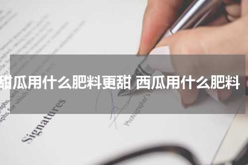 甜瓜用什么肥料更甜 西瓜用什么肥料