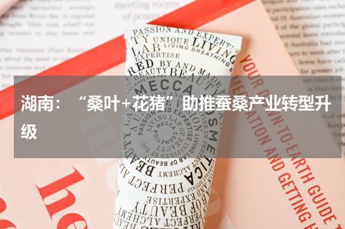 湖南：“桑叶+花猪”助推蚕桑产业转型升级