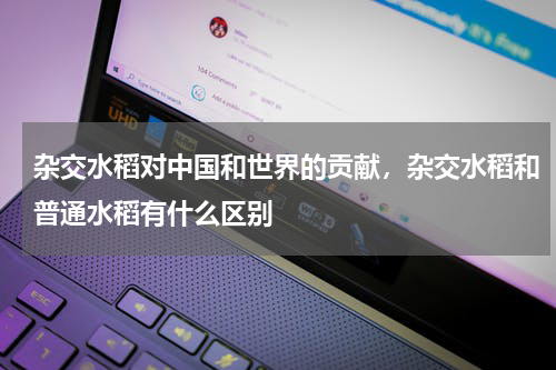 杂交水稻对中国和世界的贡献，杂交水稻和普通水稻有什么区别