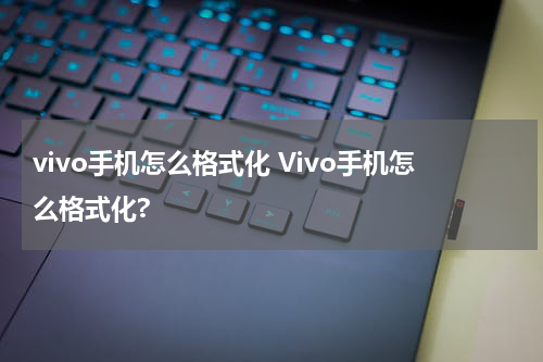 vivo手机怎么格式化 Vivo手机怎么格式化?