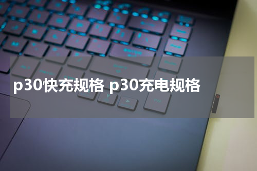 p30快充规格 p30充电规格