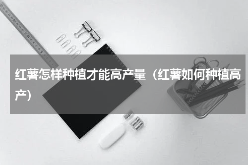 红薯怎样种植才能高产量（红薯如何种植高产）