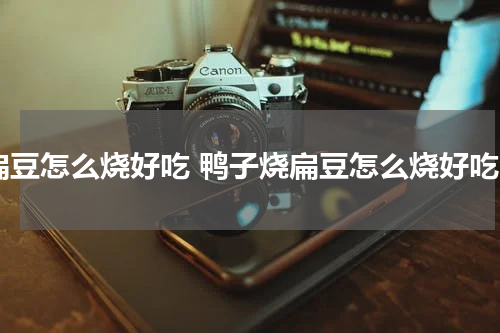 扁豆怎么烧好吃 鸭子烧扁豆怎么烧好吃