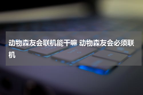 动物森友会联机能干嘛 动物森友会必须联机
