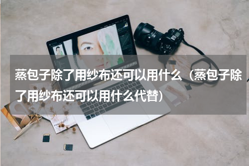 蒸包子除了用纱布还可以用什么（蒸包子除了用纱布还可以用什么代替）