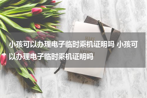 小孩可以办理电子临时乘机证明吗 小孩可以办理电子临时乘机证明吗