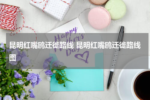 昆明红嘴鸥迁徙路线 昆明红嘴鸥迁徙路线图