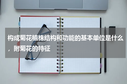 构成菊花植株结构和功能的基本单位是什么，附菊花的特征