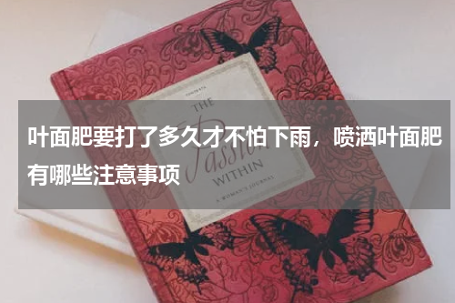 叶面肥要打了多久才不怕下雨，喷洒叶面肥有哪些注意事项
