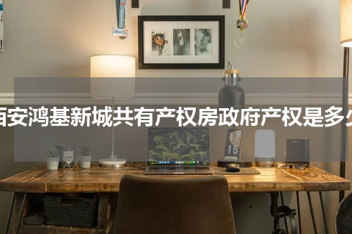 西安鸿基新城共有产权房政府产权是多少
