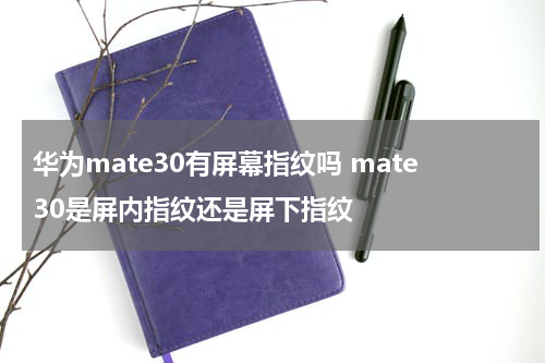 华为mate30有屏幕指纹吗 mate30是屏内指纹还是屏下指纹