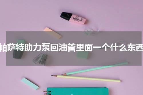 帕萨特助力泵回油管里面一个什么东西