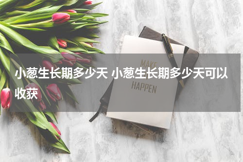小葱生长期多少天 小葱生长期多少天可以收获