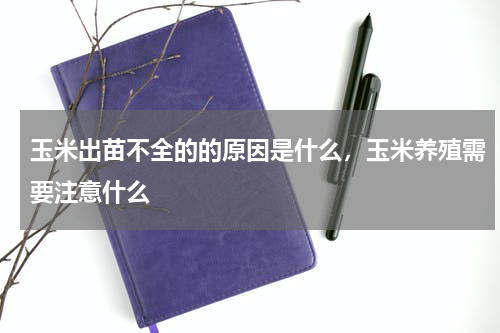 玉米出苗不全的的原因是什么，玉米养殖需要注意什么