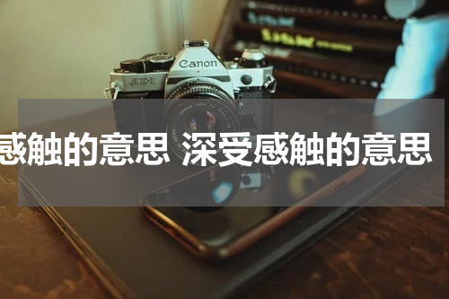 感触的意思 深受感触的意思