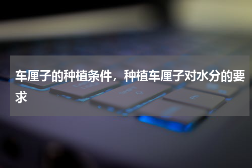 车厘子的种植条件，种植车厘子对水分的要求