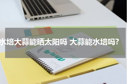水培大蒜能晒太阳吗 大蒜能水培吗?
