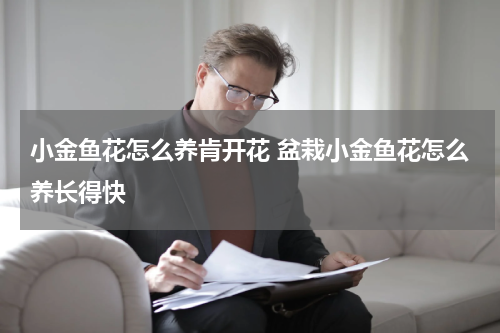 小金鱼花怎么养肯开花 盆栽小金鱼花怎么养长得快