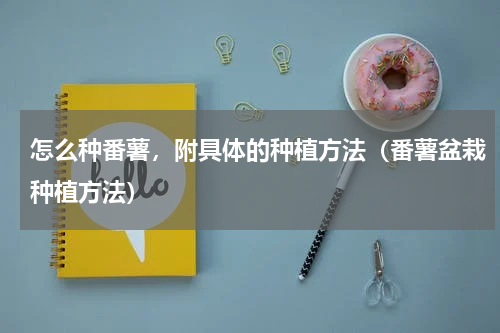 怎么种番薯，附具体的种植方法（番薯盆栽种植方法）