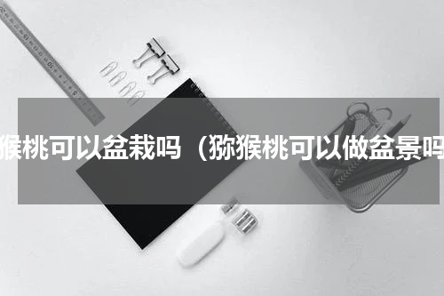 猕猴桃可以盆栽吗（猕猴桃可以做盆景吗）