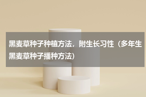 黑麦草种子种植方法，附生长习性（多年生黑麦草种子播种方法）