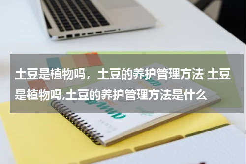 土豆是植物吗，土豆的养护管理方法 土豆是植物吗,土豆的养护管理方法是什么
