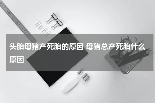 头胎母猪产死胎的原因 母猪总产死胎什么原因