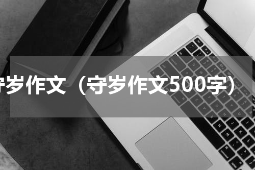 守岁作文（守岁作文500字）